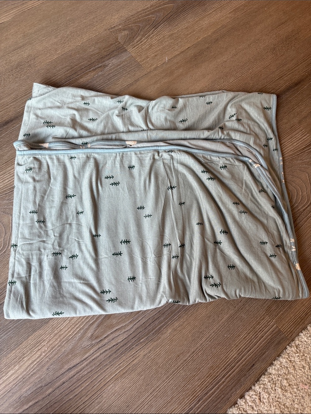 NWOT Gunamuna toddler cloud blanket